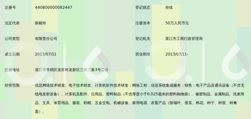 湛江市思雅网络科技有限公司 专注网络技术开发的创新力量